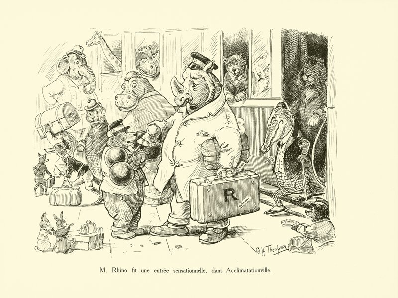 Mr Rhino gjorde en sensationel entré i Acclimatationville (litho) af George Henry Thompson