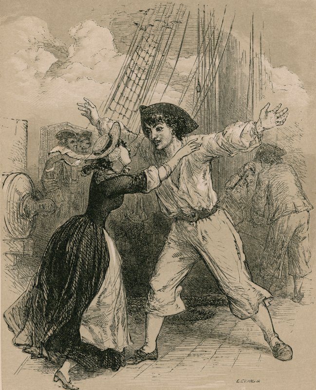 Black-eyed Susan af George Housman after Thomas