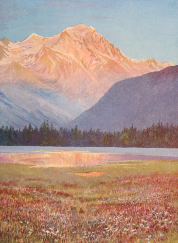 Aften blandt markerne med lyserød bistort ved Lac Champex; solnedgangslys på Grand Combin, juli (farvelitografi) af George Jackson Flemwell