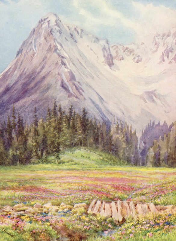 Gentiana verna og Primula farinosa på de lavere marker i Champex mod slutningen af maj, med en del af Saleinaz-massivet i baggrunden (farvelitografi) af George Jackson Flemwell