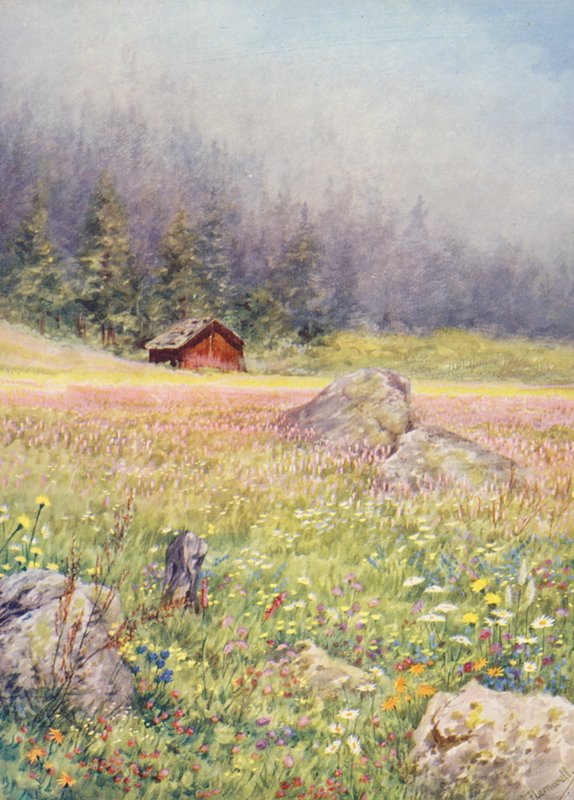 På markerne ved Champex i begyndelsen af juli (farvelitografi) af George Jackson Flemwell