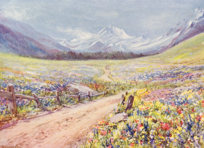 Juni-enge med Salvia, Lychnis osv. i Val Ferret, lige før ankomsten til landsbyen Praz de Fort (farvelitografi) af George Jackson Flemwell