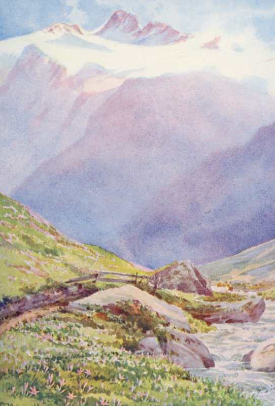 Efterårskrokus på markerne nær landsbyen Trient med Aiguille du Tour i baggrunden, september (farvelitografi) af George Jackson Flemwell