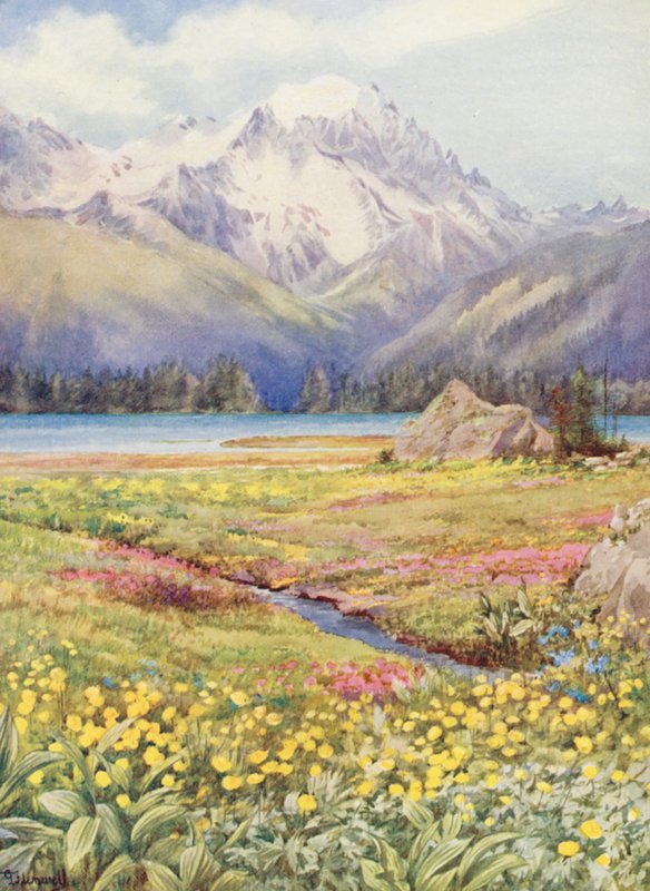 De øverste marker i Champex i begyndelsen af juni med Grand Combin i det fjerne (farvelitografi) af George Jackson Flemwell