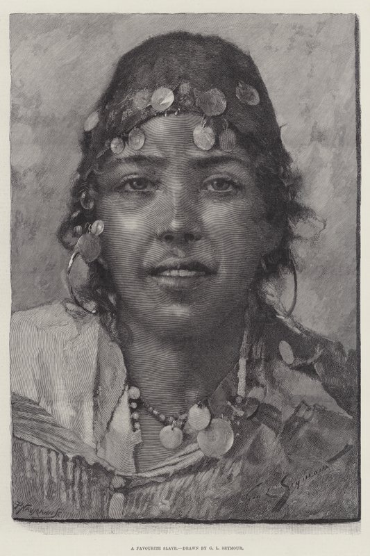 En yndlingsslave af George L. Seymour