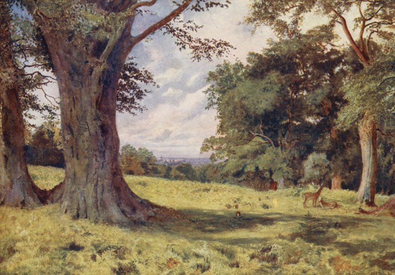 En lysning i Windsor Great Park (farvelitografi) af George Moore Henton