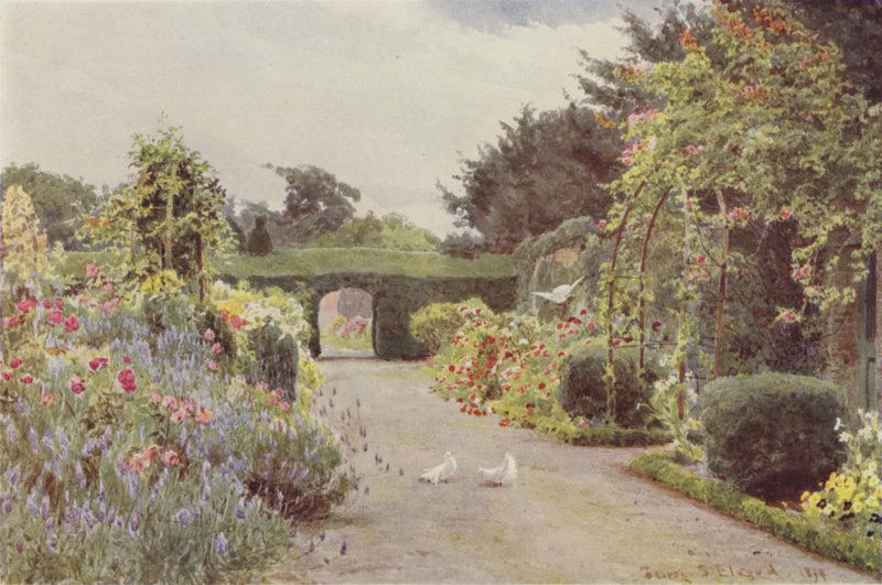 Kina roser og lavendel, Palmerstown af George Samuel Elgood