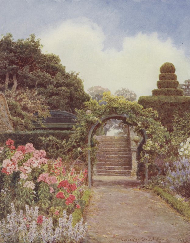 Crathes, Phlox af George Samuel Elgood
