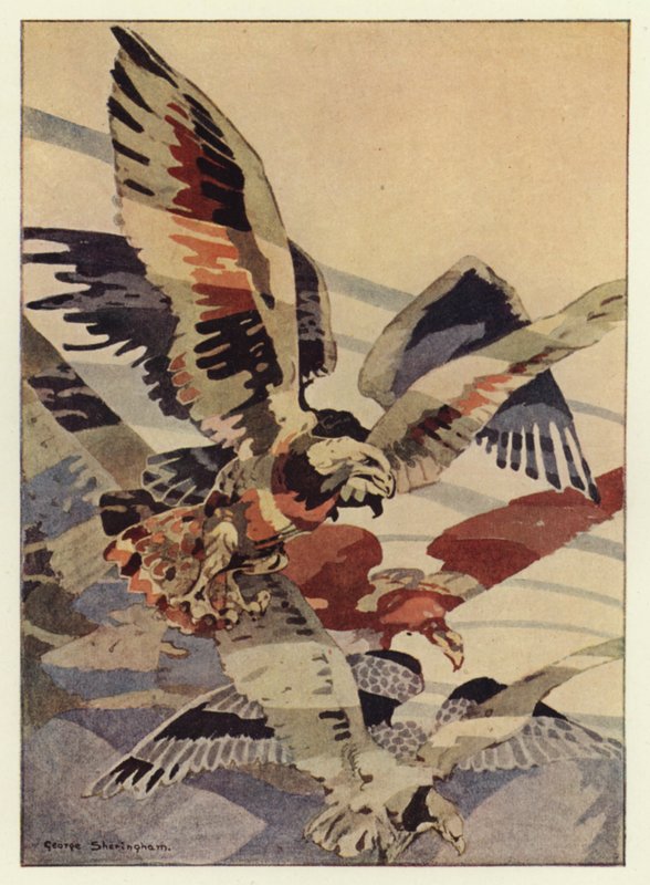 Den store ørn skabte vindene for ham (farve litho) af George Sheringham
