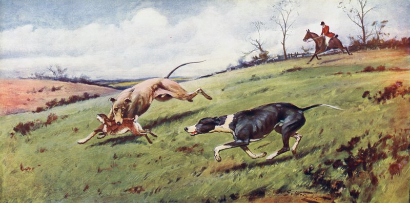 Kurser af George Wright