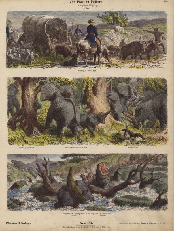 Afrika (farvet gravering) af German School
