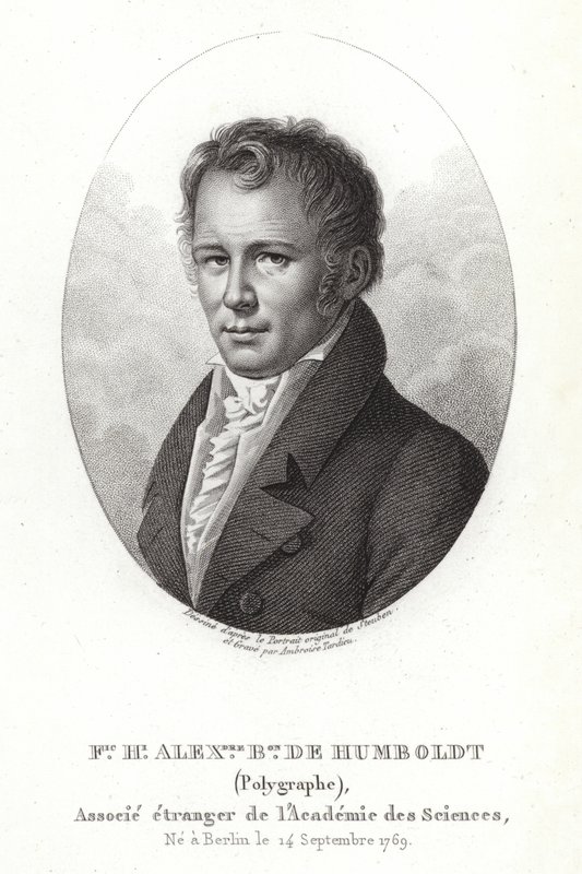 Alexander von Humboldt af German School