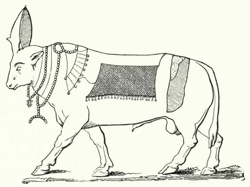 Apis, hellig tyr fra det gamle Egypten (gravering) af German School