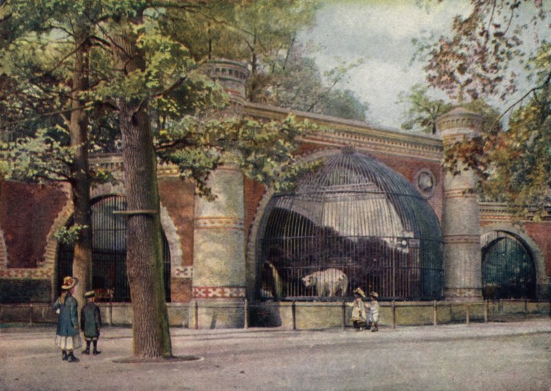 Bjørneindhegning, Berlins zoologiske have, Tyskland (farve litho) af German School