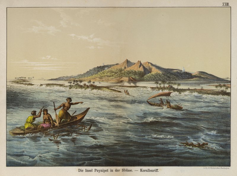 Koralrev ud for Puynipet Island (Pohnpei), Caroline Islands (farvefoto) af German School