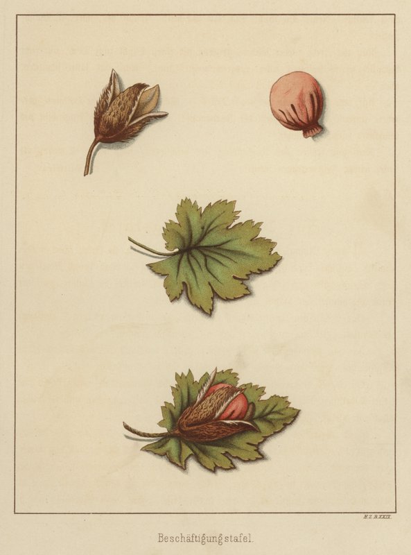 Håndværk (farve litho) af German School