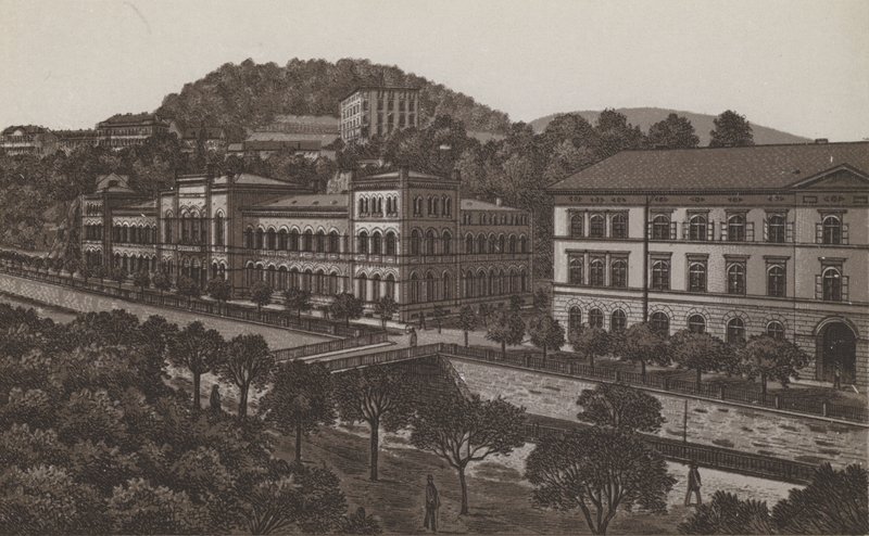 Curhaus (litho) af German School