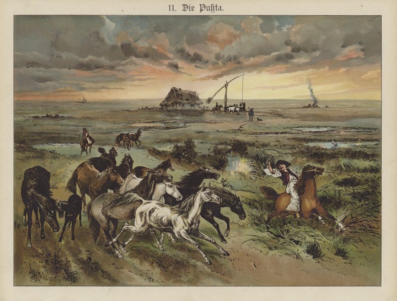 Die Pukta (farve litho) af German School