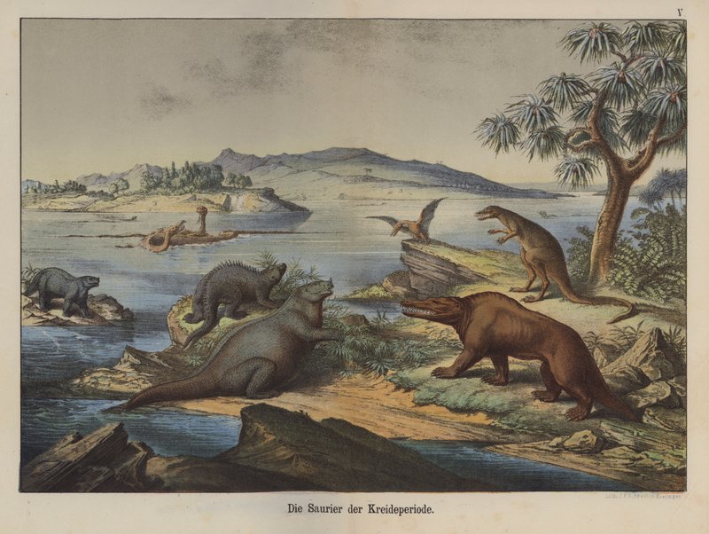 Dinosaurer fra Kridttiden (farve litho) af German School