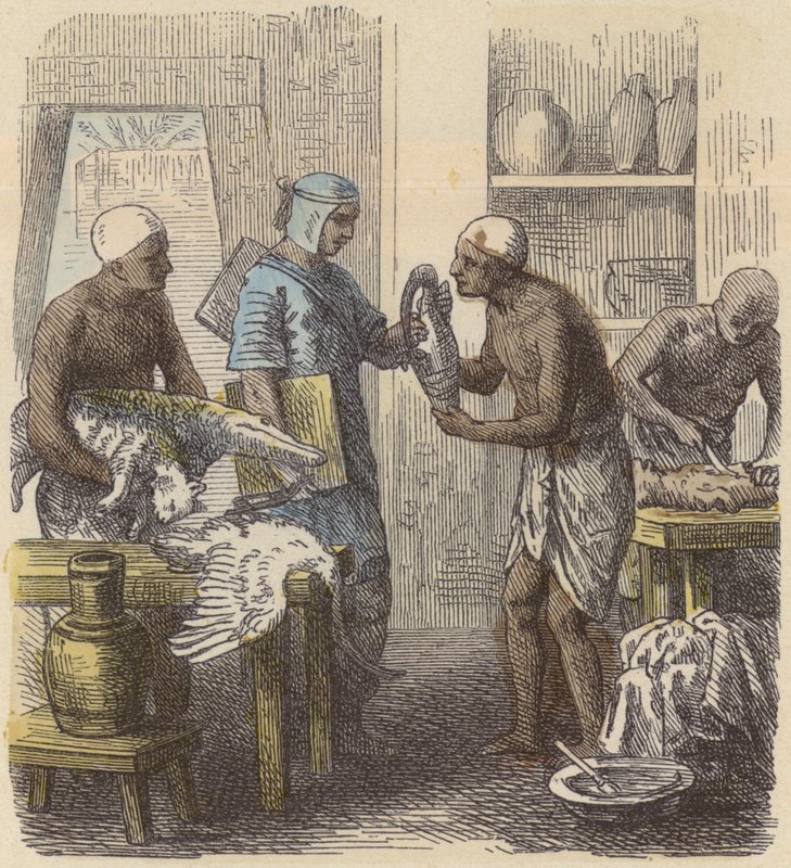 Balsamering af dyr i det gamle Egypten (farvet indgravering) af German School