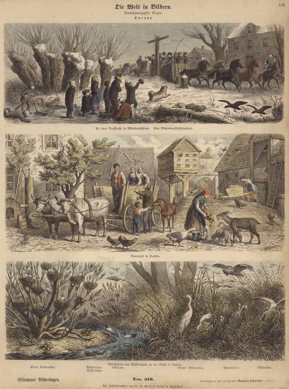 Europa (farvet gravering) af German School