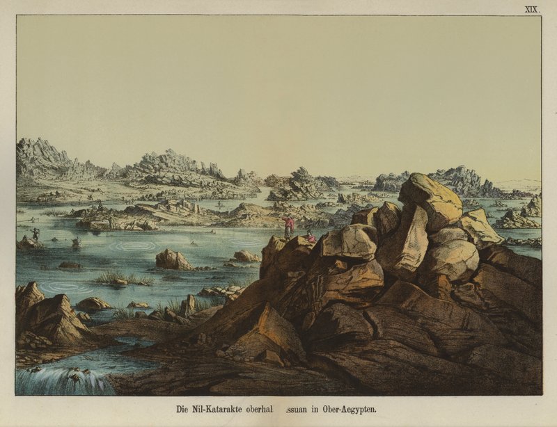 Første grå stær ved Nilen, Aswan, Øvre Egypten (farve litho) af German School