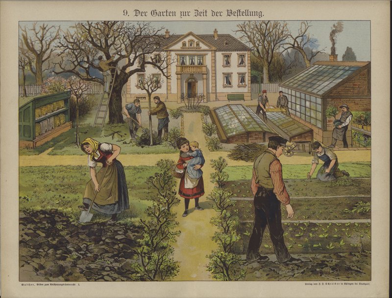 Have (farve litho) af German School
