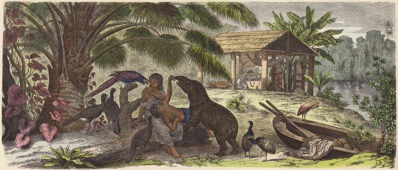 Indisk hus ved Orinoco-floden (farvet indgravering) af German School