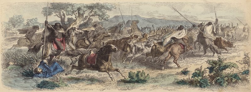 Indianere, der overrasker Gauchos på Pampa