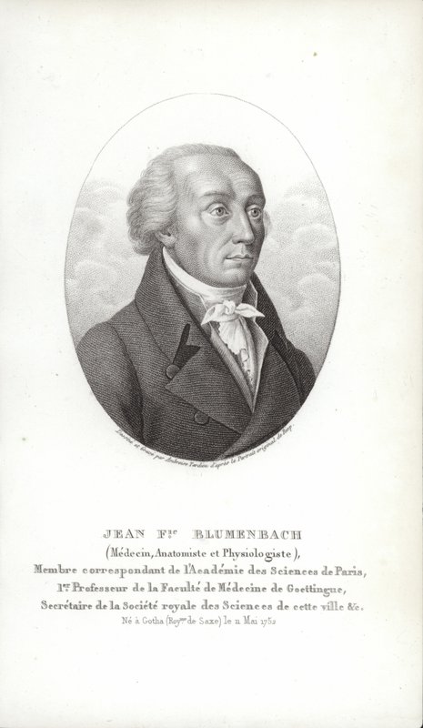 Johann Friedrich Blumenbach af German School