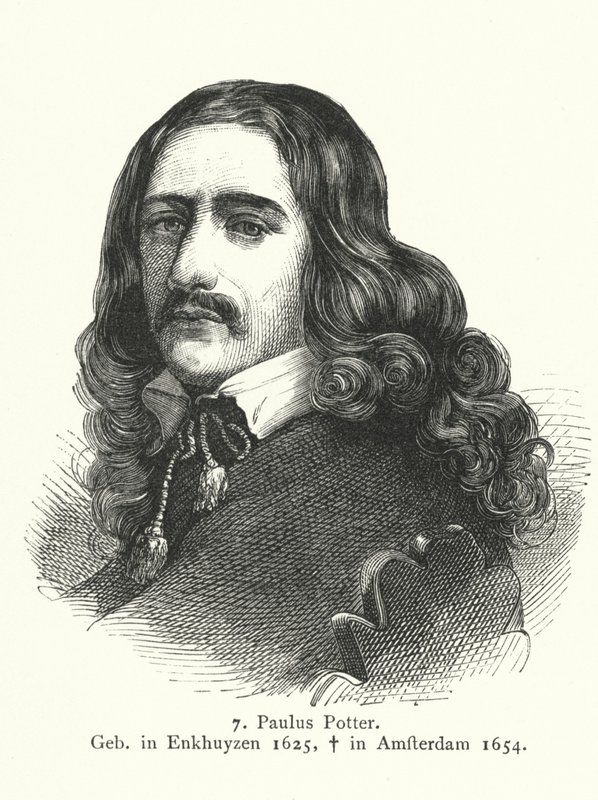Paulus Potter, maler fra den hollandske guldalder (gravering) af German School