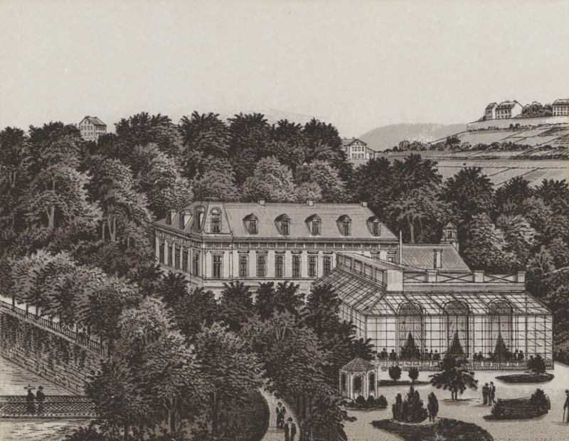 Schonbrunn (litho) af German School