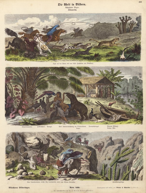Sydamerika (farvet gravering) af German School