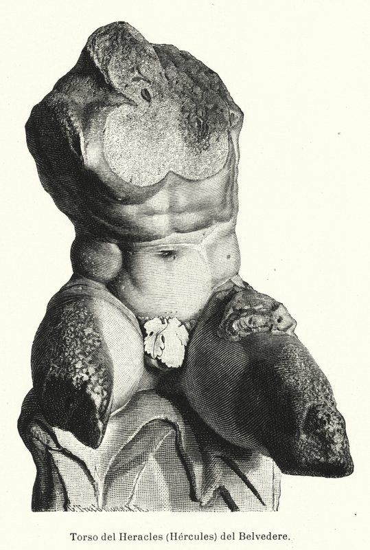 Belvedere Torso, romersk skulptur, der traditionelt menes at være en repræsentation af Hercules (litho) af German School