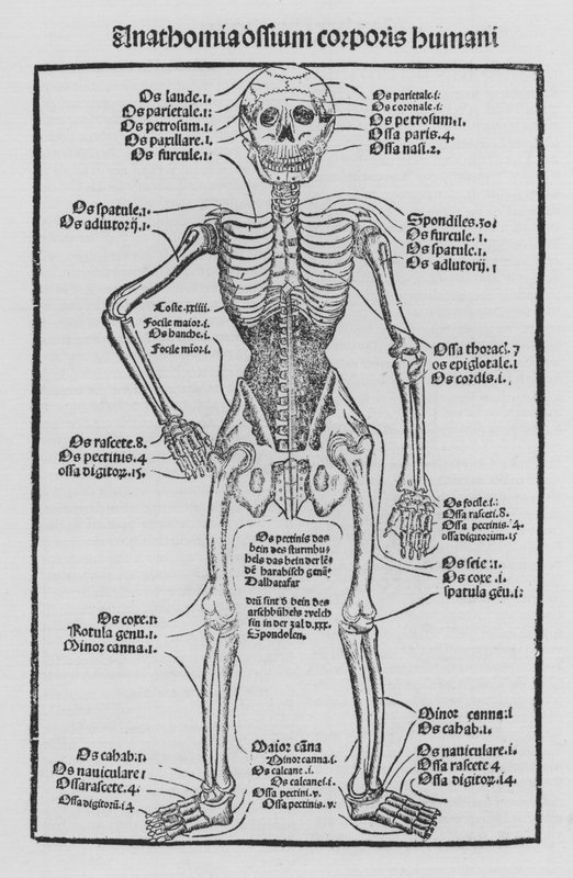 The Book of Cirurgia af Hieronymus Brunschwig af German School