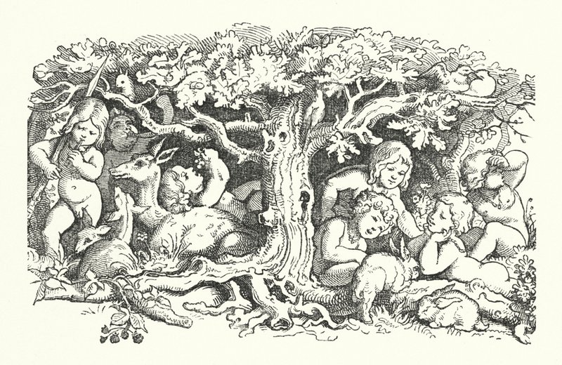 De syv svaner (gravering) af German School
