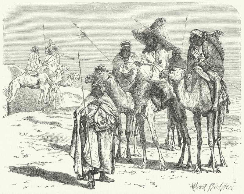 Tuaregs (gravering) af German School