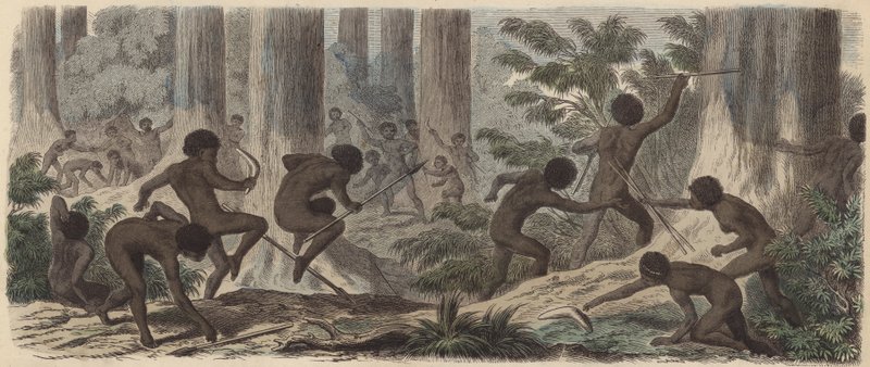 To stammer af australske aboriginer kæmper (farvet indgravering) af German School