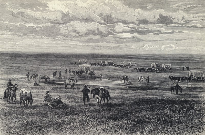 Vogntog på prærierne i South Dakota, USA (litho) af German School