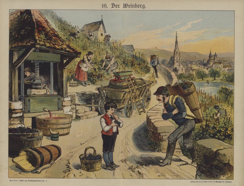 Vin (farve litho) af German School