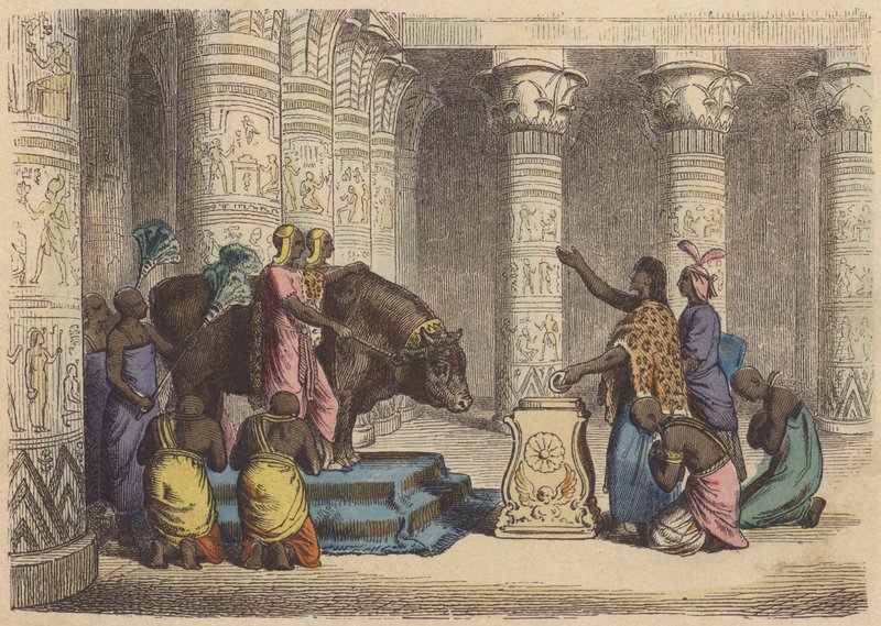 Tilbedelse af Apis Tyren i det gamle Egypten (farvet indgravering) af German School
