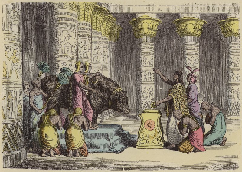 Tilbedelse af Apis Tyren i det gamle Egypten (farvet indgravering) af German School