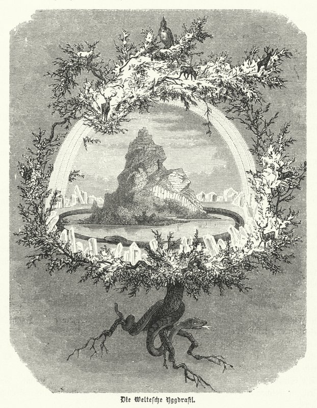 Yggdrasil, mytisk asketræ fra nordisk kosmologi (gravering) af German School