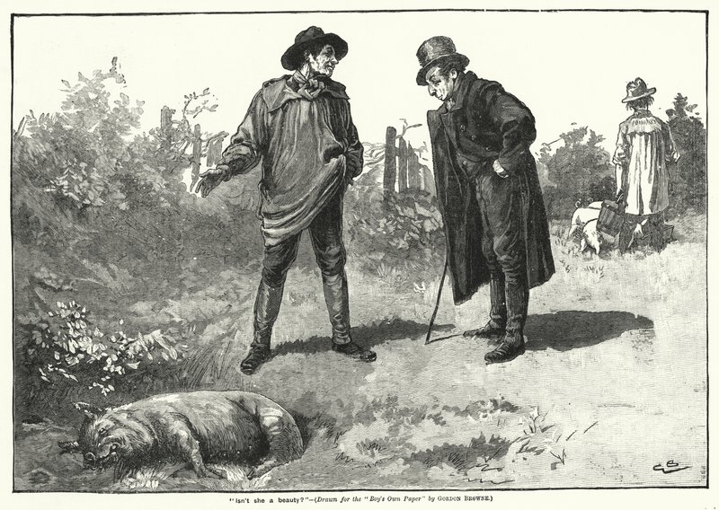 "Er hun ikke en skønhed?" (gravering) af Gordon Frederick (after) Browne