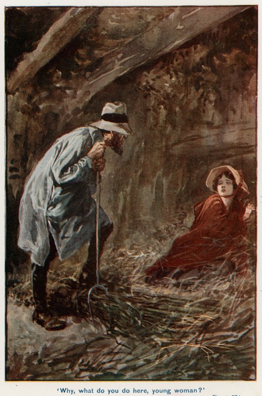 Illustration til Adam Bede af Gordon Frederick Browne