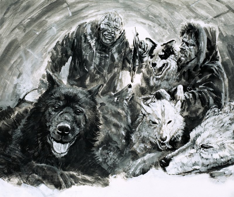 Vilhjalmar Stefansson opdagede blonde eskimoer (gouache på papir) af Graham Coton