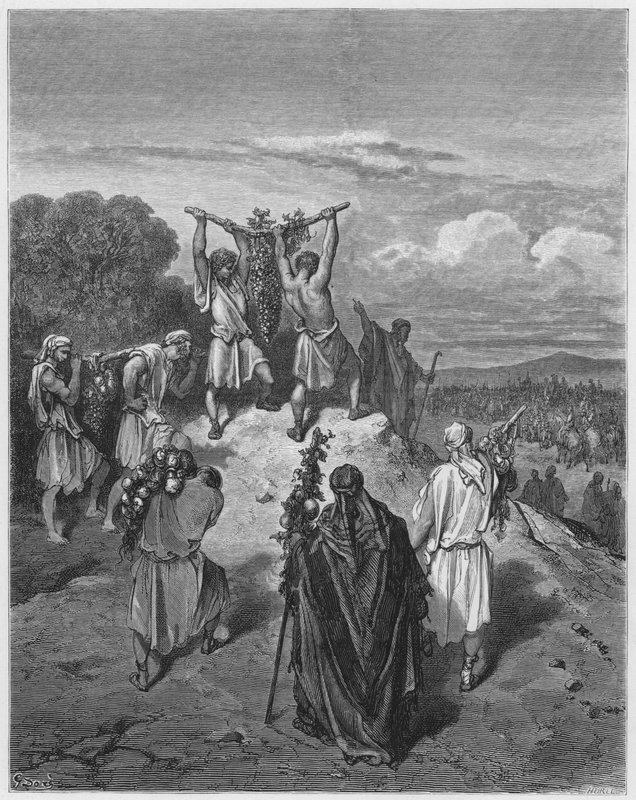 Gustave Dore Bibelen: Spionernes tilbagevenden fra det forjættede land af Gustave Dore