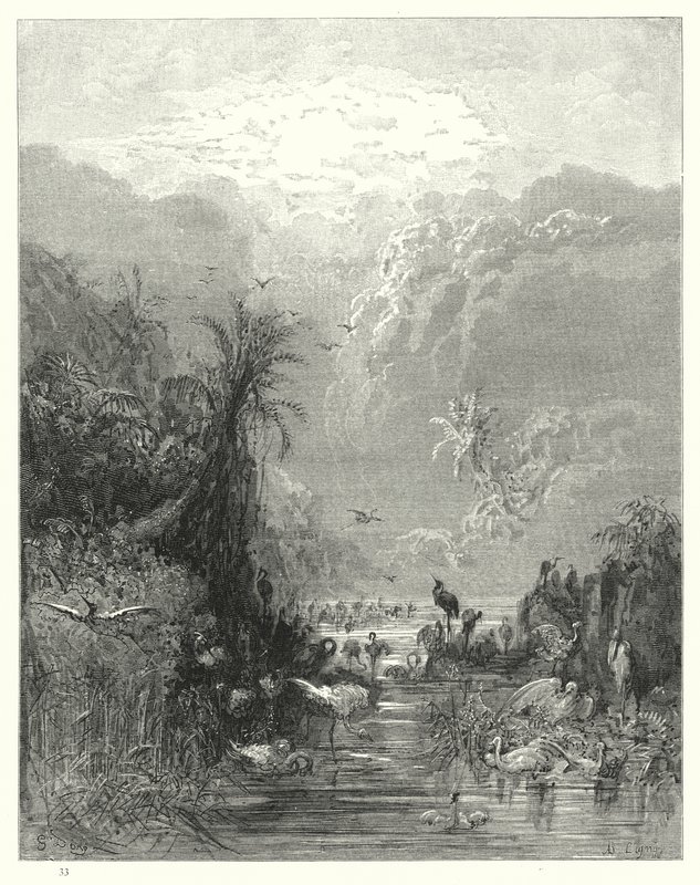 Illustration af Gustave Dore til Miltons Paradise Lost, bog VII, linje 417, 418 af Gustave Dore