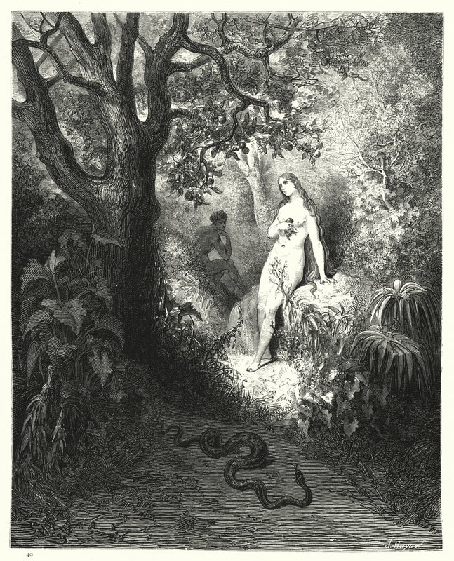 Illustration af Gustave Dore til Miltons Paradise Lost, bog IX, linje 784, 785 af Gustave Dore