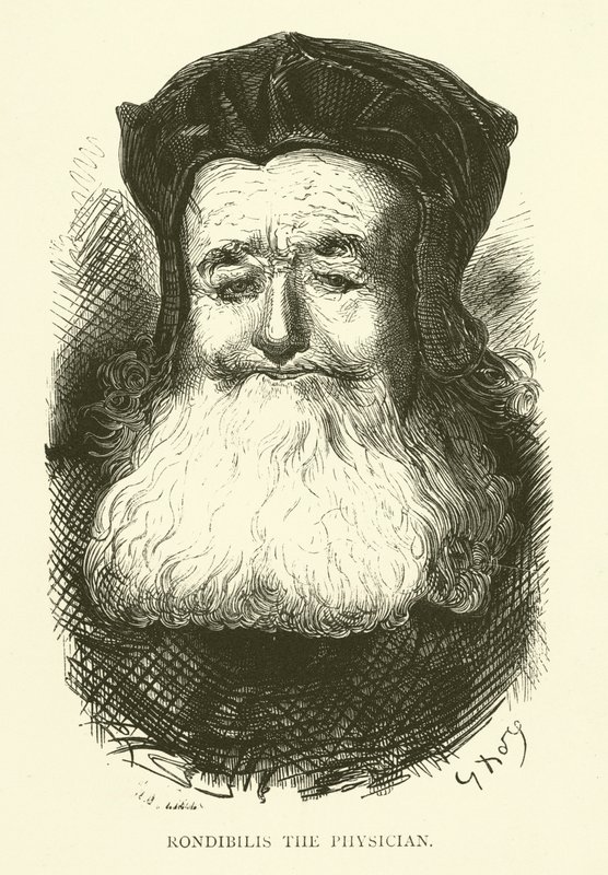 Illustration til Rabelais værker af Gustave after Dore
